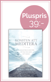 Konsten att meditera