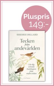 Tecken från andevärlden