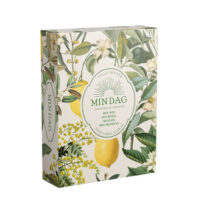 MIN DAG: Min dag, Min kväll, Minnen, Min framtid