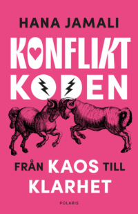Konfliktkoden : från kaos till klarhet