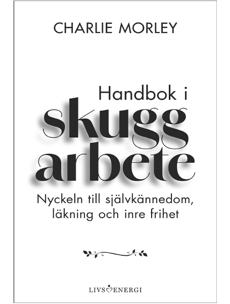 Julpaket i skuggarbete - Image 3