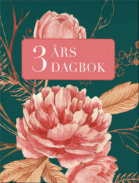 3 års dagbok