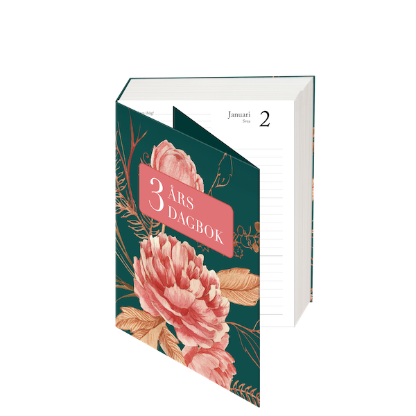 3 års dagbok - Image 3