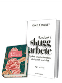 Julpaket i skuggarbete