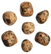 Leopardit jaspis