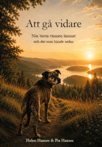 Att gå vidare när bästa vännen lämnat