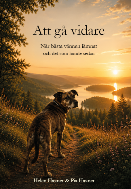 Att gå vidare när bästa vännen lämnat