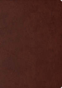 Skrivbok A5 PU linjerad brun