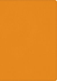 Skrivbok A5 PU linjerad orange