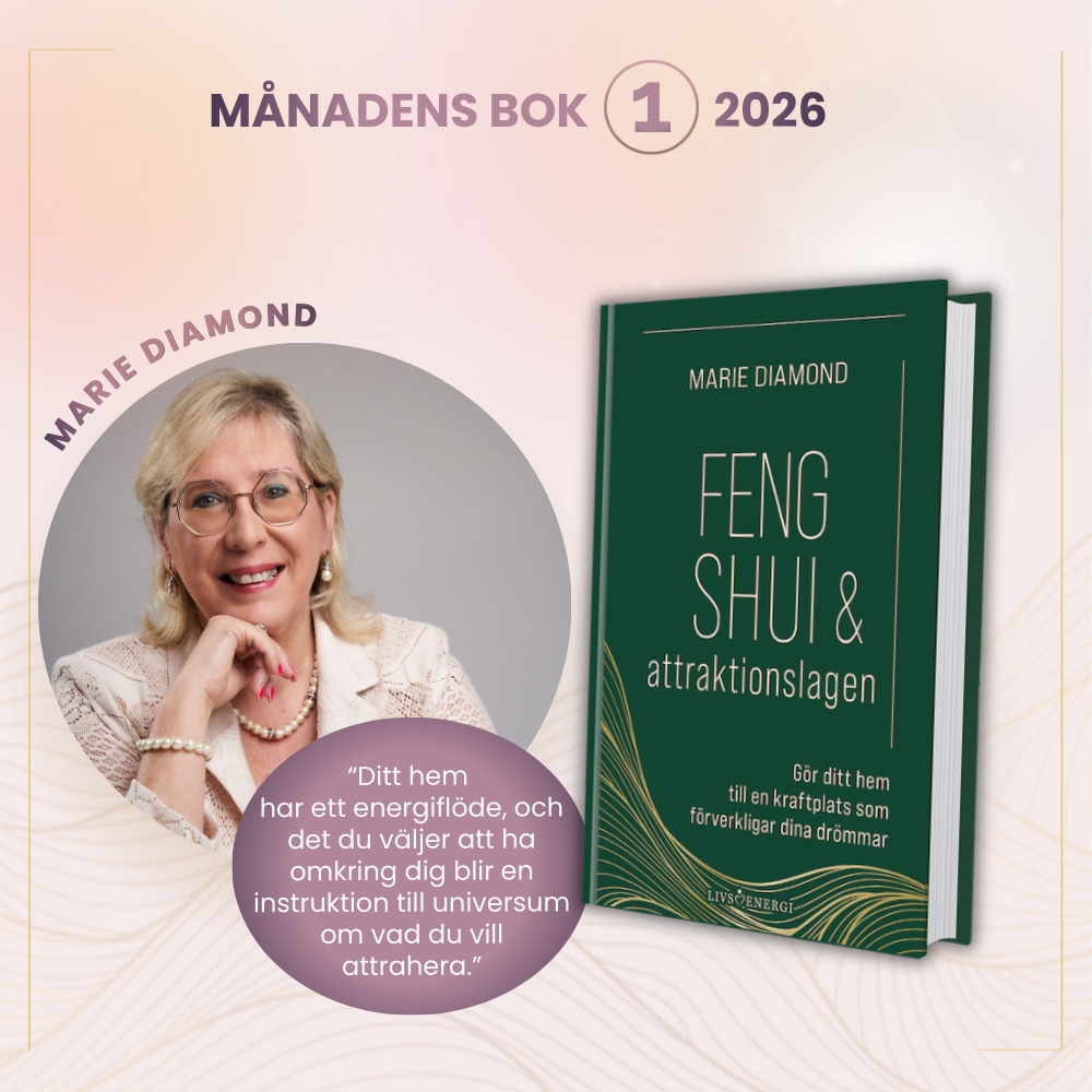 Feng shui & attraktionslagen