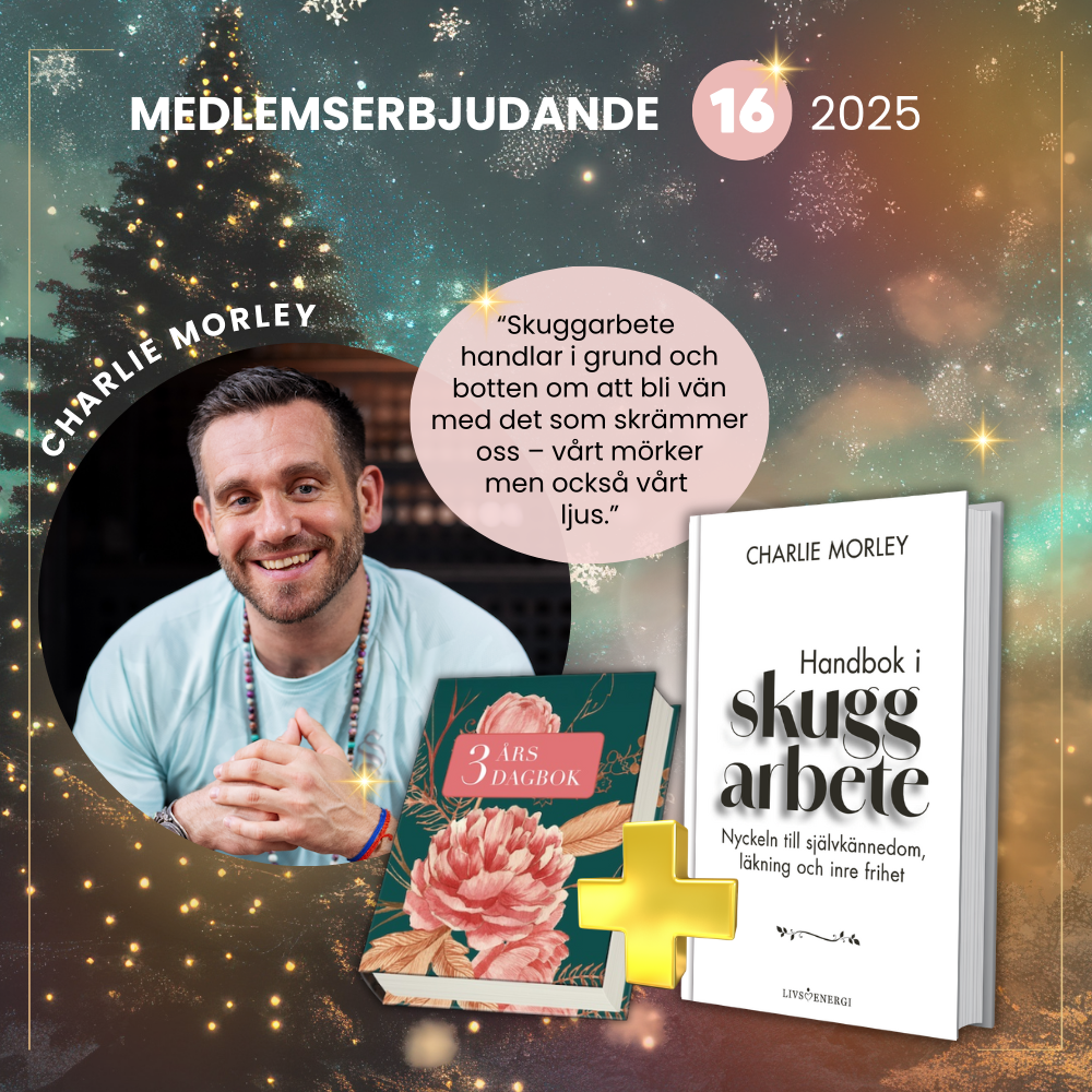 Julpaket i skuggarbete_start